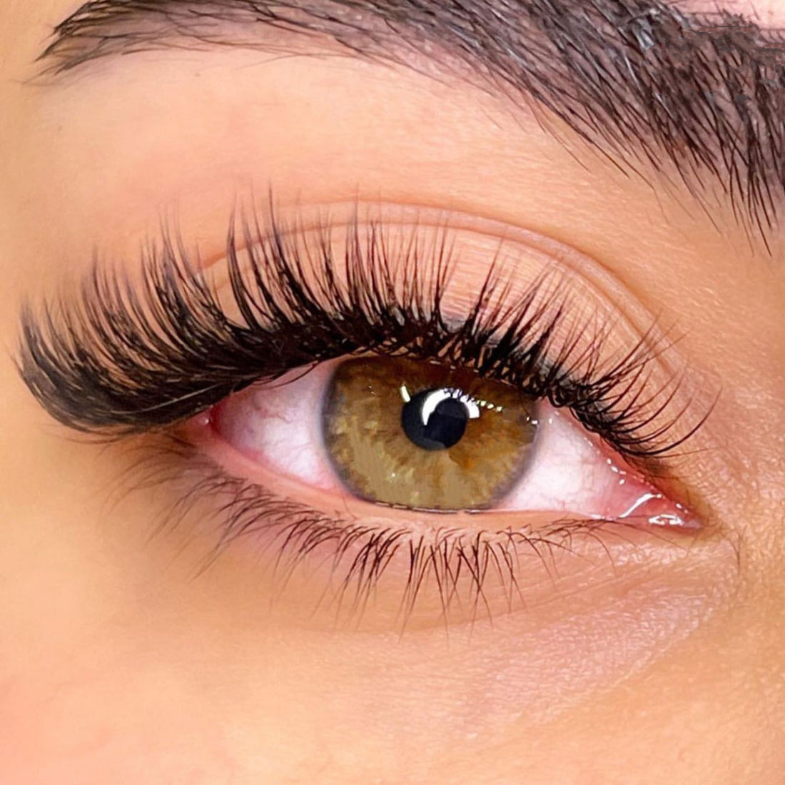 2D Nature Volume Eyelash Extensions
